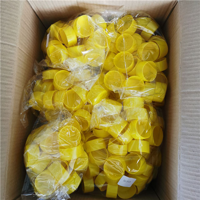 Kết thúc chương trình 09