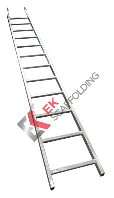 3m hook-on Khỉ giàn giáo Thang thép