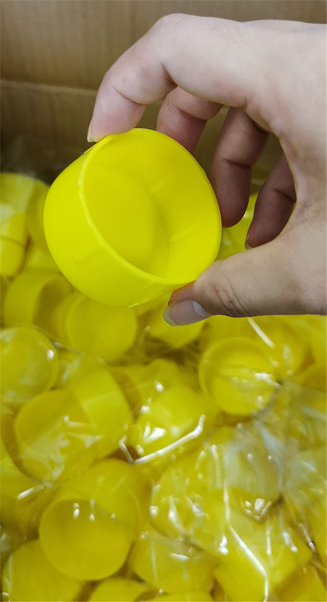 Hiển thị nắp kết thúc 01