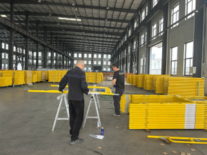 Đi bộ qua khung hình