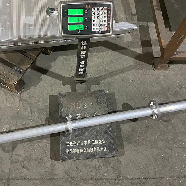 Hệ thống giàn giáo nhôm Ringlock tiêu chuẩn 2,5m