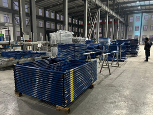 Đi bộ qua khung hình